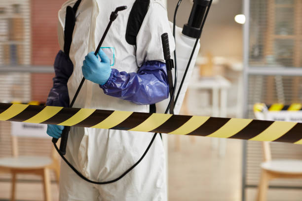 Professional Blood Cleanup technician working in Wellington, CO